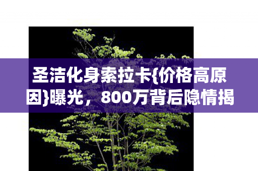 800万背后隐情揭秘图片
