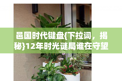 12年时光谜局谁在守望图片