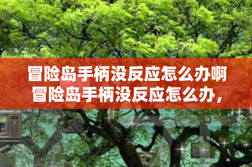 冒险岛手柄没反应怎么办啊冒险岛手柄没反应怎么办,冒险岛手柄无反应解决方法 冒险岛手柄没反应怎么办啊冒险岛手柄没反应怎么办,冒险岛手柄无反应解决方法