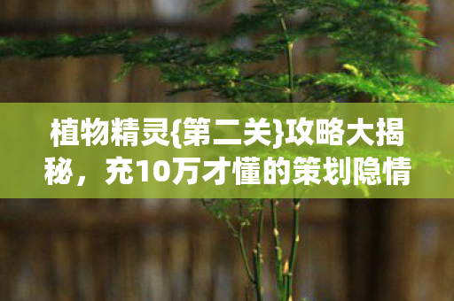 充10万才懂的策划隐情图片