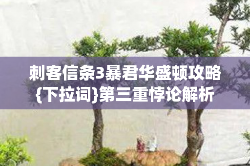 刺客信条3暴君华盛顿攻略图片