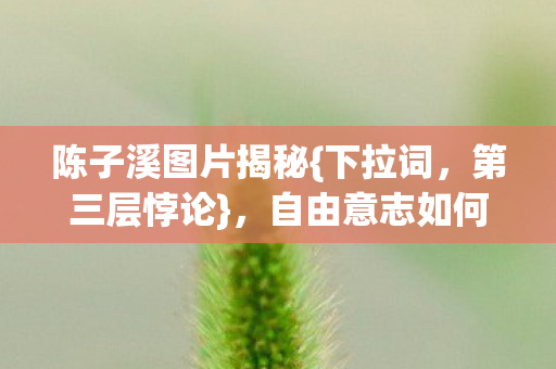 陈子溪图片揭秘{下拉词,第三层悖论},自由意志如何破命运茧? 陈子溪图片揭秘{下拉词,第三层悖论},自由意志如何破命运茧?