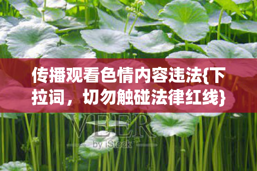 传播观看色情内容违法{下拉词,切勿触碰法律红线} 传播观看色情内容违法{下拉词,切勿触碰法律红线}