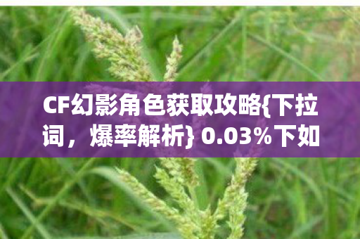 CF幻影角色获取攻略图片