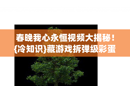 春晚我心永恒视频大揭秘图片