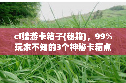 玩家不知的3个神秘卡箱点图片