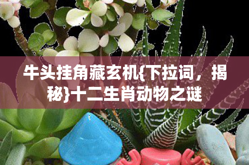 十二生肖动物之谜图片