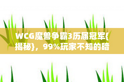 WCG魔兽争霸3历届冠军图片