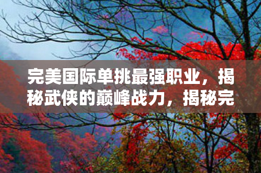 揭秘完美国际单挑最强职业图片