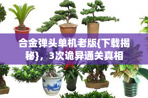 合金弹头单机老版图片
