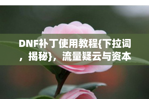 流量疑云与资本博弈真相图片