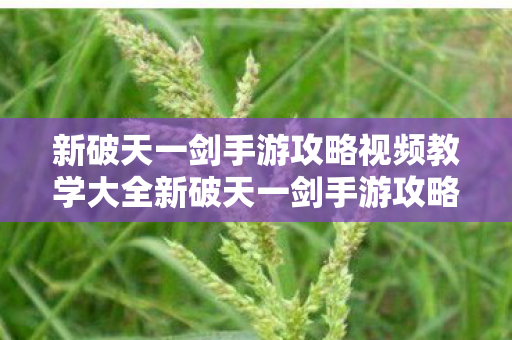 新破天一剑手游攻略视频教学大全新破天一剑手游攻略视频教学,新破天一剑手游攻略视频教学大全 新破天一剑手游攻略视频教学大全新破天一剑手游攻略视频教学,新破天一剑手游攻略视频教学大全