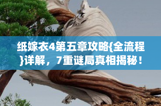 纸嫁衣4第五章攻略图片