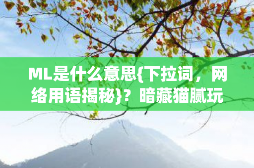 暗藏猫腻玩家需警惕图片