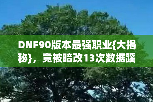 DNF90版本最强职业图片