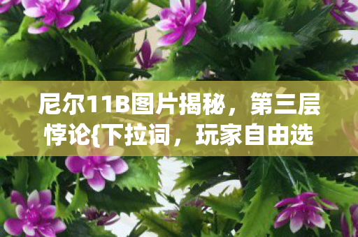 尼尔11B图片揭秘图片