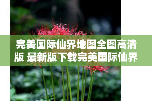 完美国际仙界地图全图高清版 最新版下载完美国际仙界地图全图高清版 最新版图片