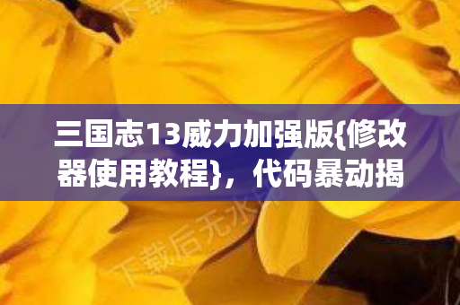 三国志13威力加强版图片