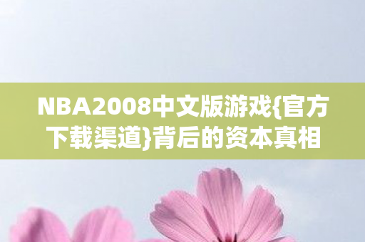 NBA2008中文版游戏图片