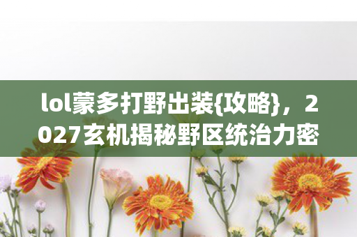 2027玄机揭秘野区统治力密码图片