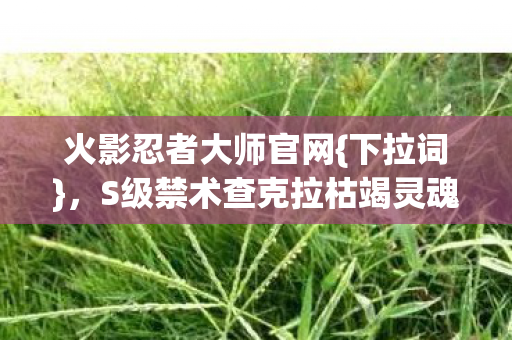 S级禁术查克拉枯竭灵魂震颤图片