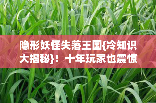 隐形妖怪失落王国图片