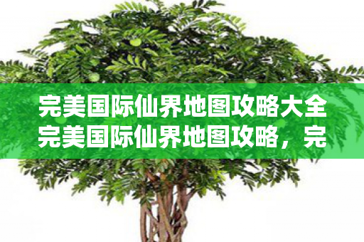 完美国际仙界地图攻略大全完美国际仙界地图攻略图片