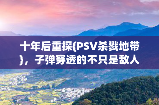 子弹穿透的不只是敌人图片