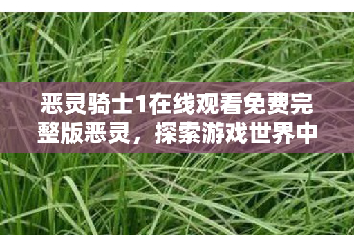 恶灵骑士1在线观看免费完整版恶灵图片