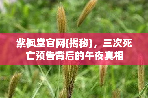 三次死亡预告背后的午夜真相图片