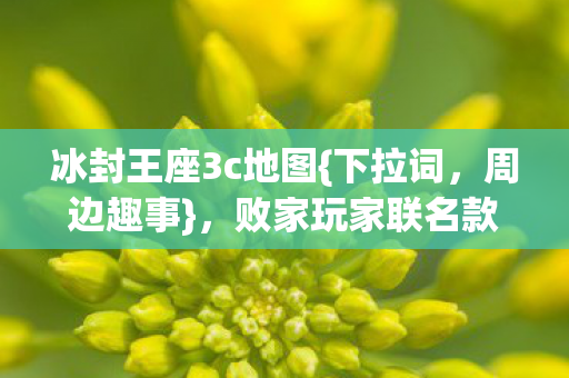 败家玩家联名款新玩法图片