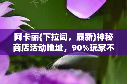 神秘商店活动地址图片