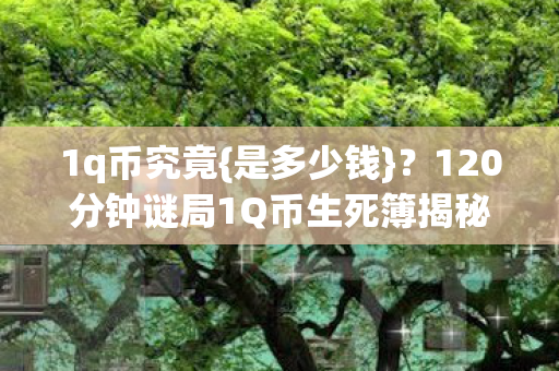 120分钟谜局1Q币生死簿揭秘图片