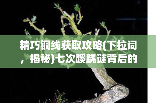 七次蹊跷谜背后的真相图片