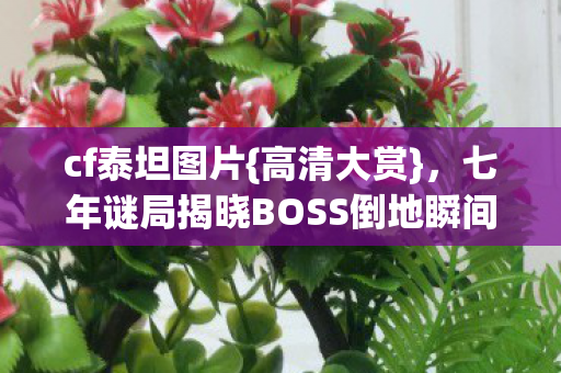 七年谜局揭晓BOSS倒地瞬间图片