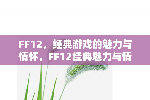 FF12经典魅力与情怀的永恒回响图片