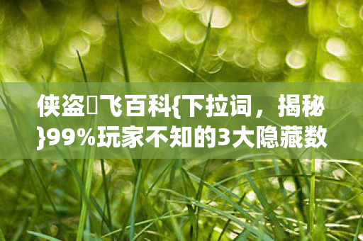 玩家不知的3大隐藏数值图片