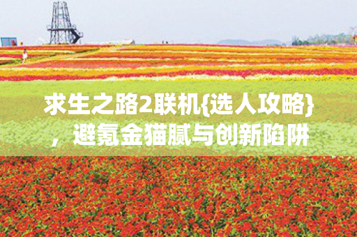 避氪金猫腻与创新陷阱图片