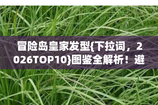 2026TOP10图片