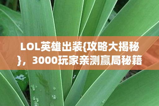 3000玩家亲测赢局秘籍图片