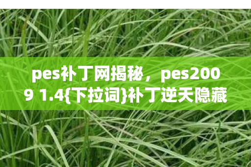 pes2009 1图片