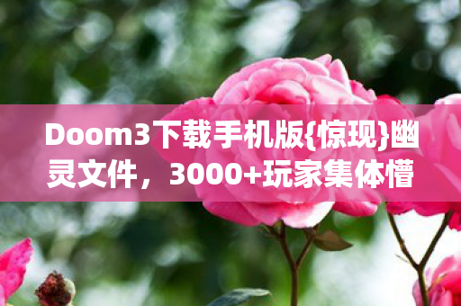 Doom3下载手机版图片