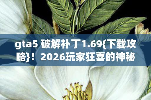 2026玩家狂喜的神秘补丁图片