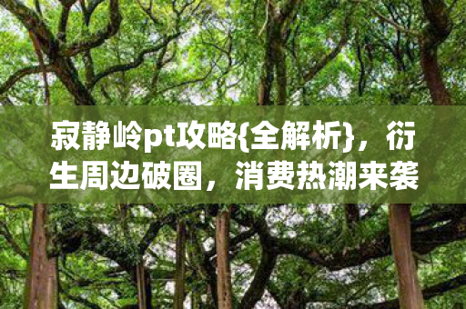 寂静岭pt攻略图片
