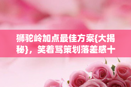 笑着骂策划落差感十足图片