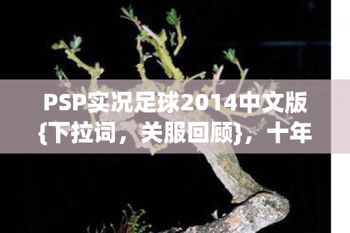 PSP实况足球2014中文版图片