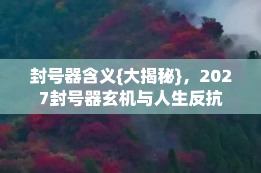 2027封号器玄机与人生反抗图片