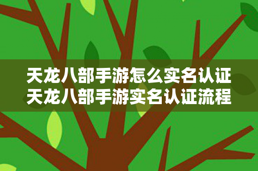 天龙八部手游怎么实名认证天龙八部手游实名认证流程 实名注册攻略图片
