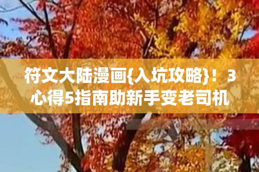 3心得5指南助新手变老司机图片