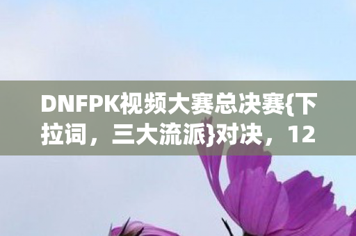 DNFPK视频大赛总决赛图片